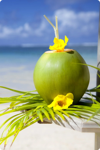 Authentic Island Experience