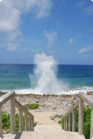 The Blowholes